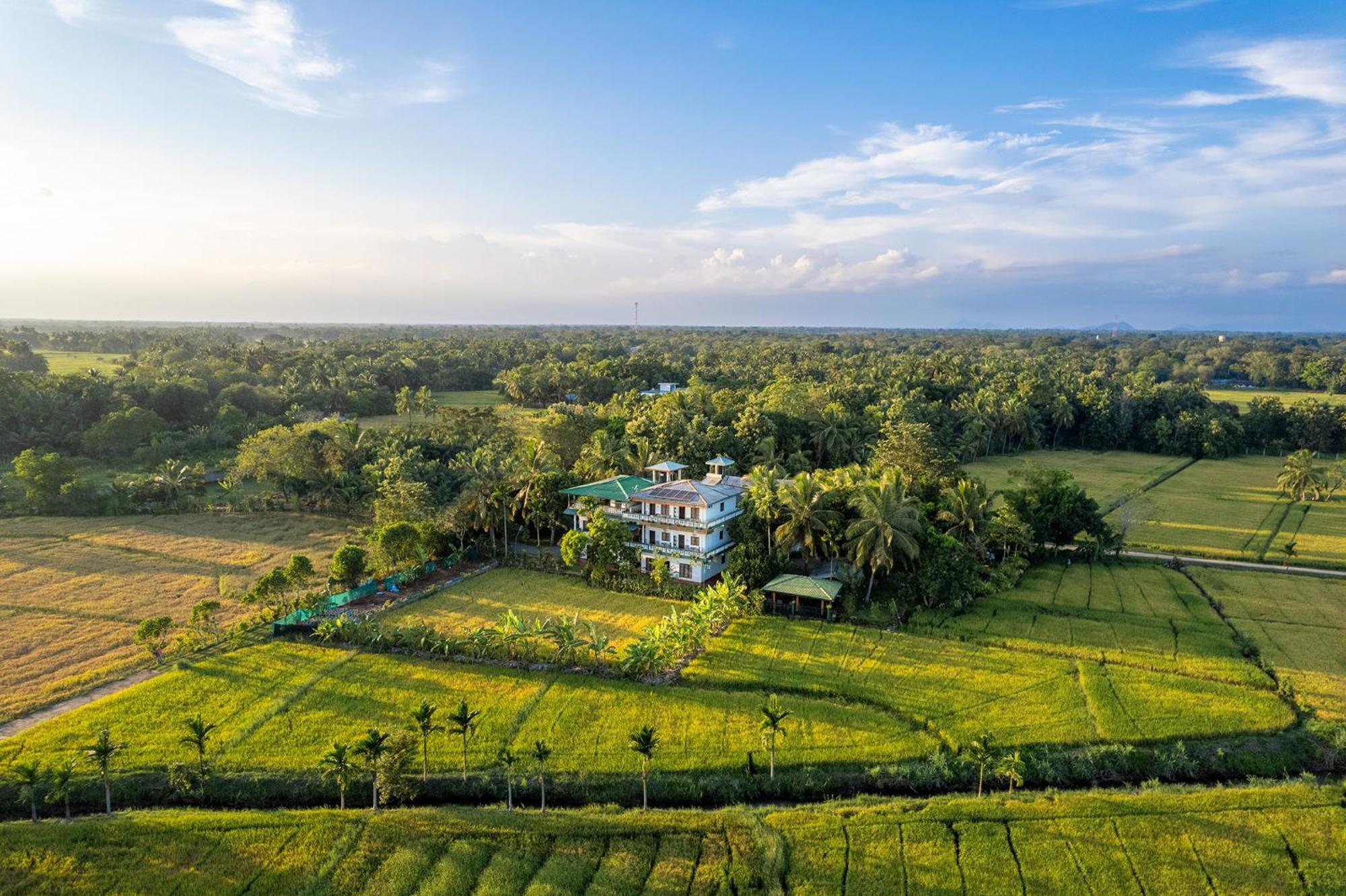 Mailagama Cinnamon Residence Катарагама Екстериор снимка